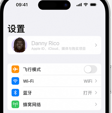 元门乡appleID维修服务iPhone设置中Apple ID显示为灰色无法使用