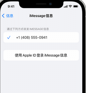 元门乡apple维修iPhone上无法正常发送iMessage信息 