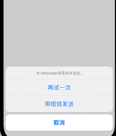 元门乡apple维修iPhone上无法正常发送iMessage信息