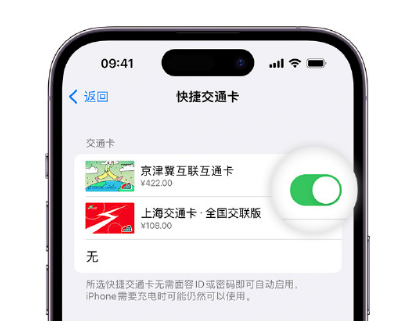 元门乡apple维修点分享iPhone上更换Apple Pay快捷交通卡手绘卡面 