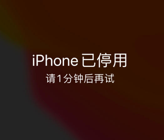 元门乡苹果手机维修分享:iPhone 显示“不可用”或“已停用”怎么办？还能保留数据吗？ 