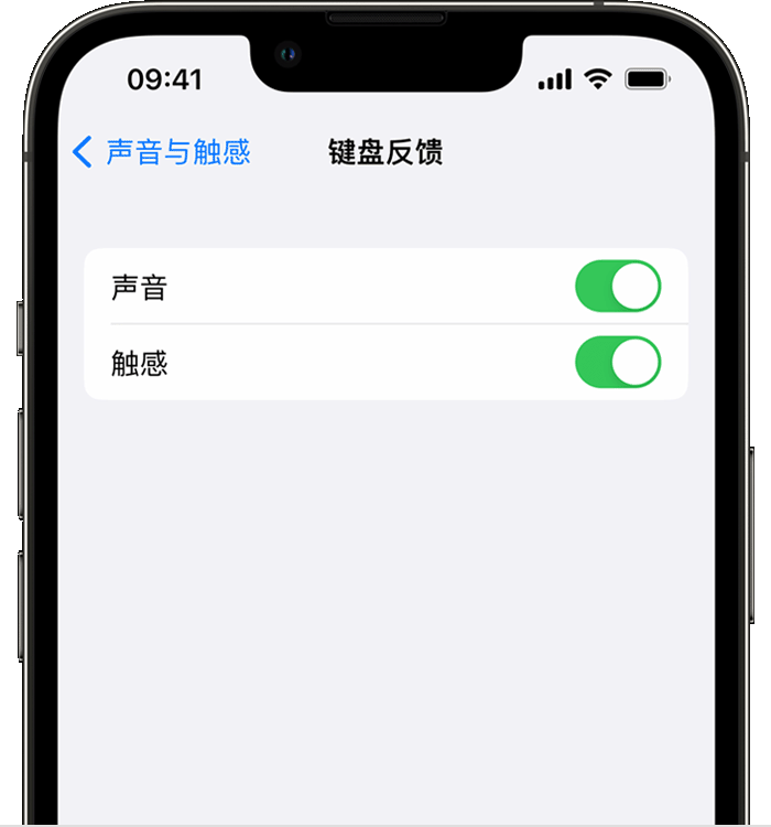 元门乡苹果14维修店分享如何在 iPhone 14 机型中使用触感键盘 