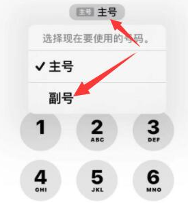 元门乡苹果14维修店分享iPhone 14 Pro Max使用副卡打电话的方法 