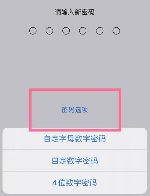 元门乡苹果14维修分享iPhone 14plus设置密码的方法 