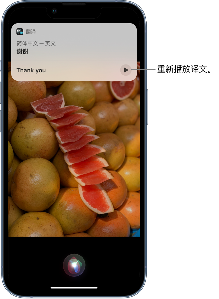 元门乡苹果14维修分享 iPhone 14 机型中使用 Siri：了解 Siri 能帮你做什么 