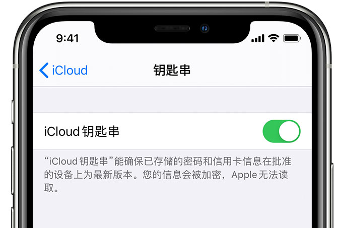 元门乡苹果手机维修分享在 iPhone 上开启 iCloud 钥匙串之后会储存哪些信息 