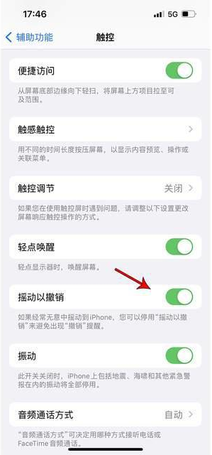 元门乡苹果手机维修分享iPhone手机如何设置摇一摇删除文字 