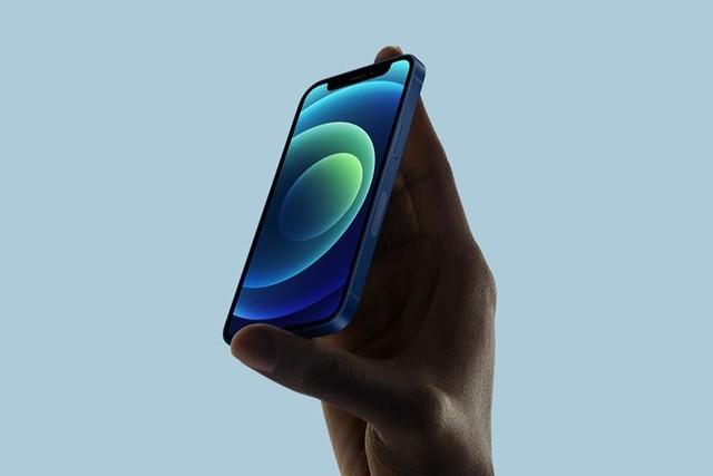 元门乡苹果手机维修分享iPhone 12 mini辐射很大吗 